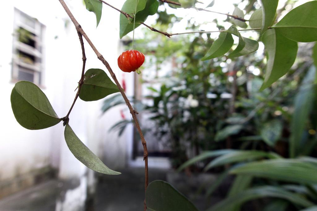 Casa Em Meio A Natureza - Ideal Para Casal Rio de Janeiro Extérieur photo